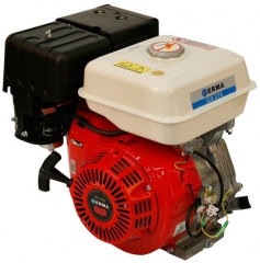 Двигатель Erma Power GX225L D20